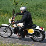 Goldberg 81