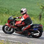 Goldberg 115